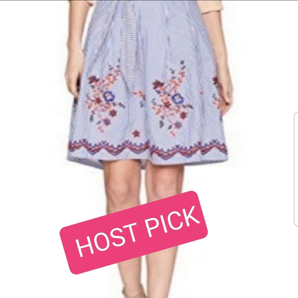 Embroidered Striped skirt